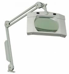 Wall Mount Clear View Magnifier